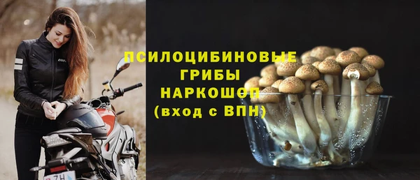 apvp Ельня