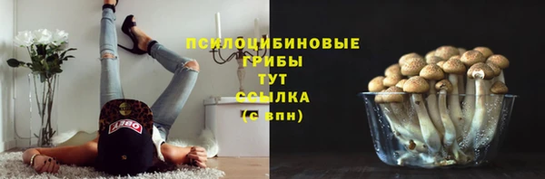 мяу мяу мука Аркадак
