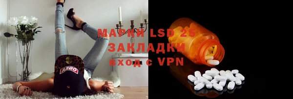 мяу мяу мука Аркадак