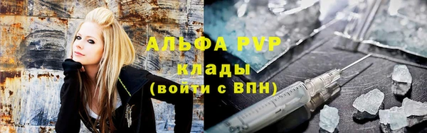 мяу мяу мука Аркадак