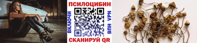 omg как войти  Родники  Галлюциногенные грибы GOLDEN TEACHER 